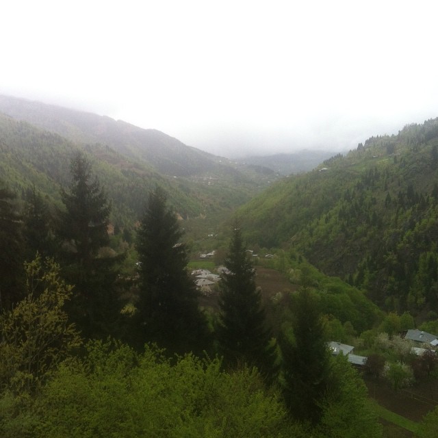 Грузия на прокатной машине